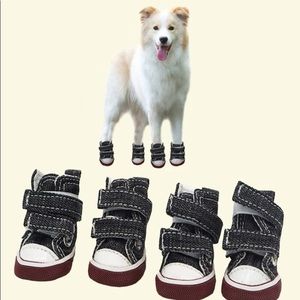 Dog Converse Style Shoes